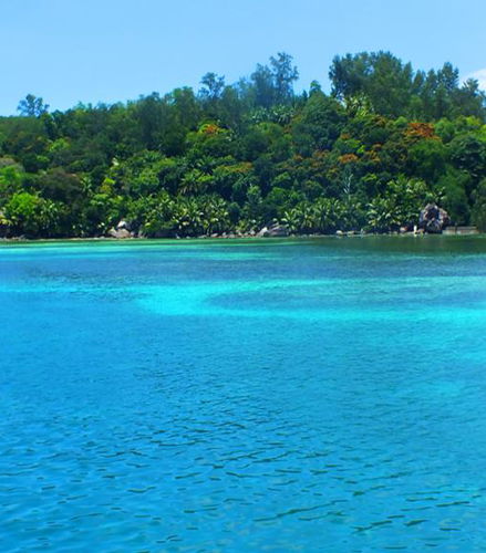 Foto - Reef Safari with Semi-Submersible, Creole BBQ Lunch and Mahe Island - Full-Day Tour - From Mahe